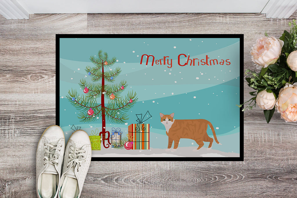 European Shorthair Cat Christmas Doormat Indoor Outdoor 24H X 36W Front Door Mat Rugs for Entryway, Non Slip Washable Low Pile,