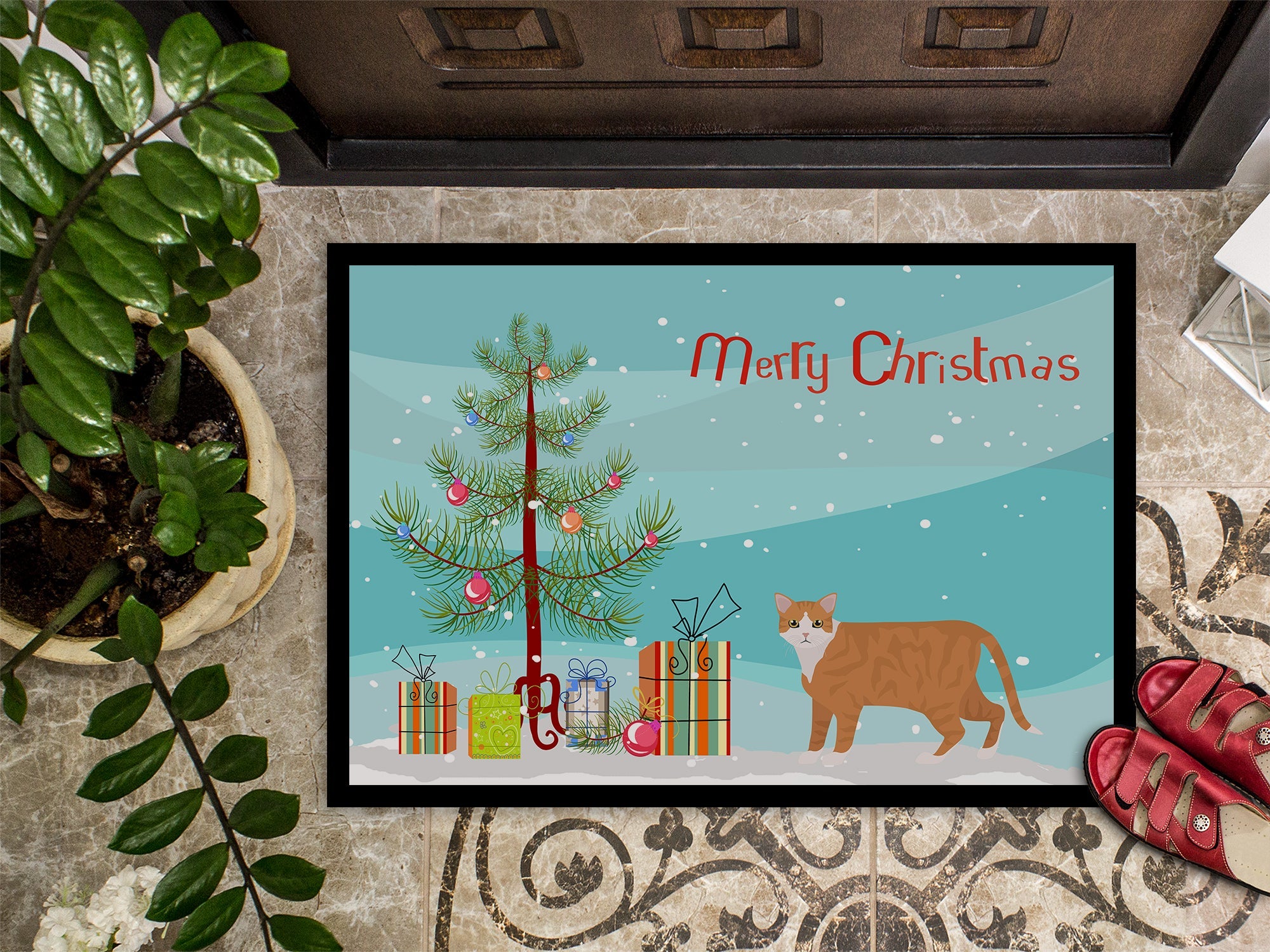 European Shorthair Cat Christmas Doormat Indoor Outdoor 24H X 36W Front Door Mat Rugs for Entryway, Non Slip Washable Low Pile,