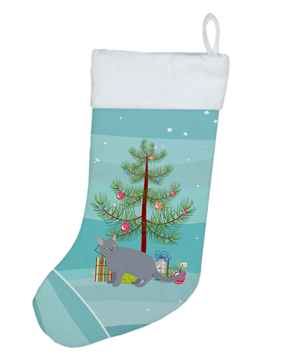 European Shorthair Cat Christmas Holiday Stocking Double-Sided Print, Polyester Suede,11x18, Made in USA
