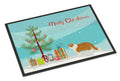 Exotic Shorthair Cat Christmas Doormat Indoor Outdoor 24H X 36W Front Door Mat Rugs for Entryway, Non Slip Washable Low Pile,