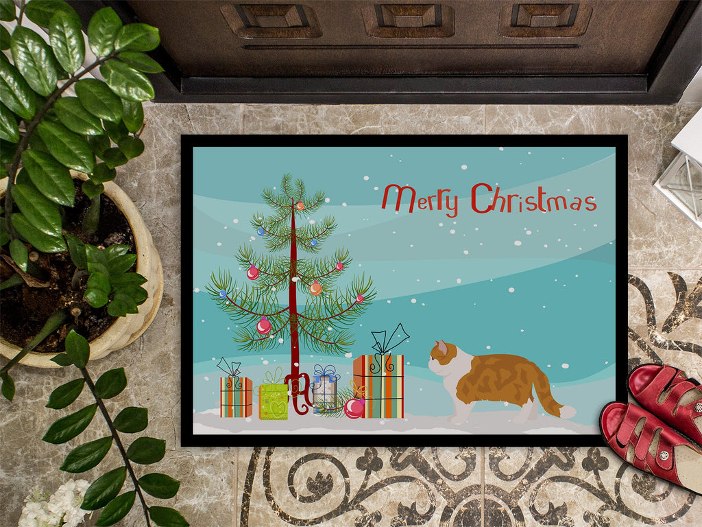 Exotic Shorthair Cat Christmas Doormat Indoor Outdoor 24H X 36W Front Door Mat Rugs for Entryway, Non Slip Washable Low Pile,