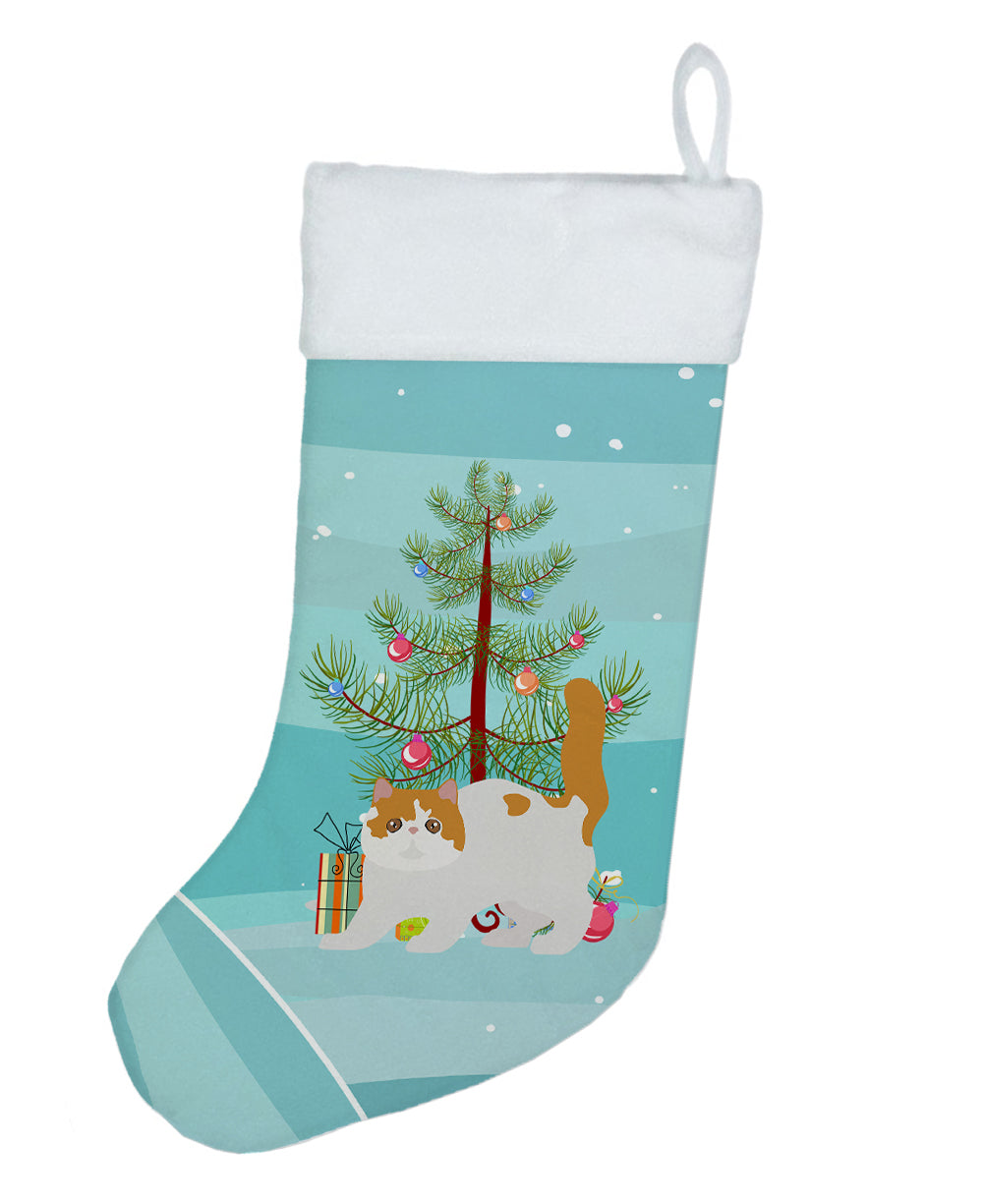 Exotic Shorthair Cat Christmas Holiday Stocking Double-Sided Print, Polyester Suede,11x18, Made in USA