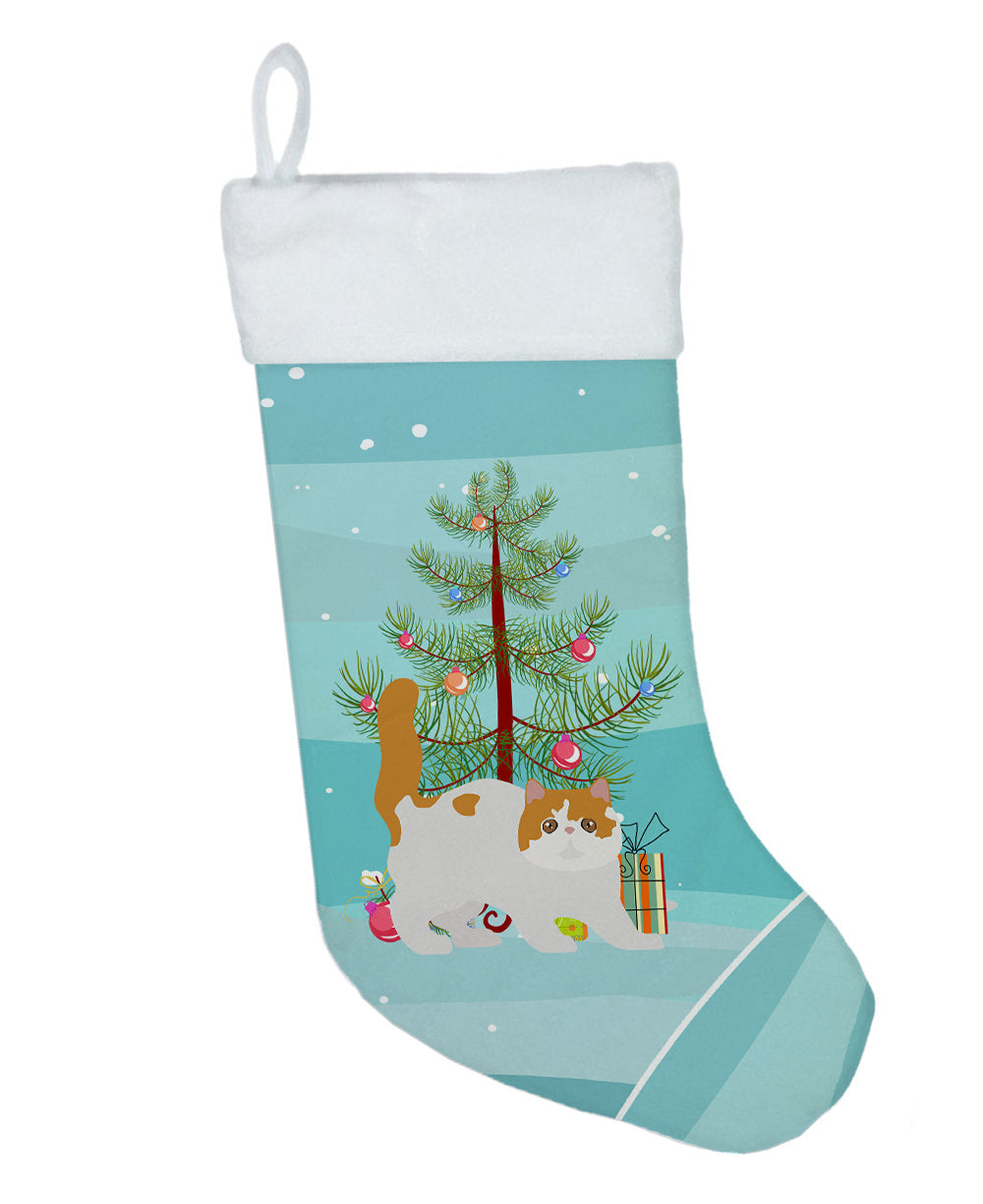 Exotic Shorthair Cat Christmas Holiday Stocking Double-Sided Print, Polyester Suede,11x18, Made in USA