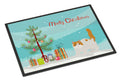 Exotic Shorthair Cat Christmas Doormat Indoor Outdoor 24H X 36W Front Door Mat Rugs for Entryway, Non Slip Washable Low Pile,