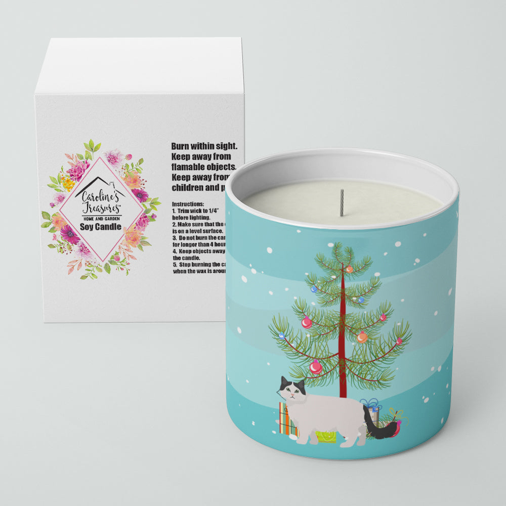 Ragamuffin Cat  Christmas Decorative Soy Candle Nature Soy Wax Essential Oil Home Decor Ideal for Bedroom Kitchen Bath Office Gift, 10 oz