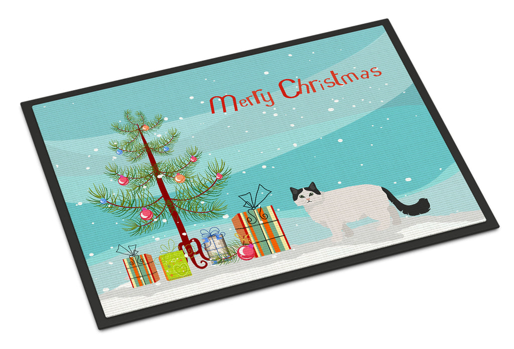 Ragamuffin Cat  Christmas Doormat Indoor Outdoor 18H X 27W Front Door Mat Rugs for Entryway, Non Slip Washable
