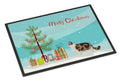 Ragamuffin Cat  Christmas Doormat Indoor Outdoor 24H X 36W Front Door Mat Rugs for Entryway, Non Slip Washable Low Pile,