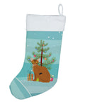 Abyssinian Cat Christmas Holiday Stocking Double-Sided Print, Polyester Suede,11x18, Made in USA