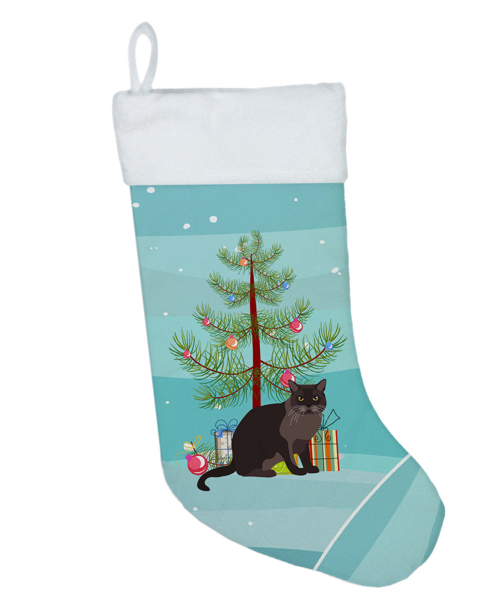 European Burmese Cat Christmas Holiday Stocking Double-Sided Print, Polyester Suede,11x18, Made in USA