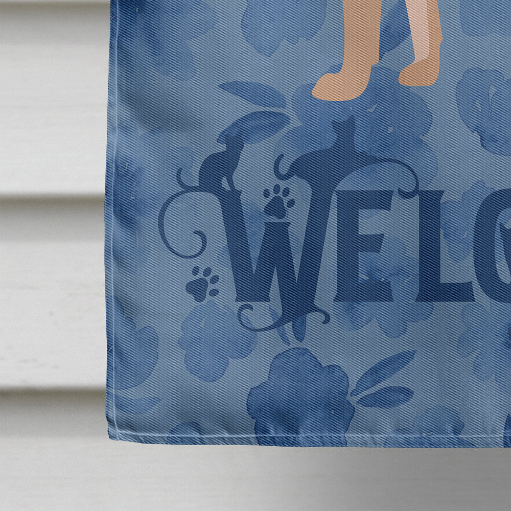 Fawn Abyssinian Cat Welcome House Flag 28x40 Porch Sleeve Pole Decorative Outside Yard Banner Artwork Wall Hanging, Polyester