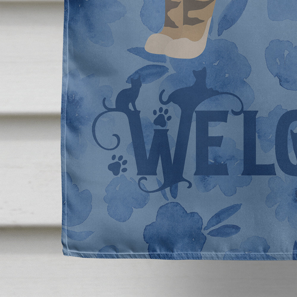 American Wirehair #1 Cat Welcome House Flag 28x40 Porch Sleeve Pole Decorative Outside Yard Banner Artwork Wall Hanging, Polyester