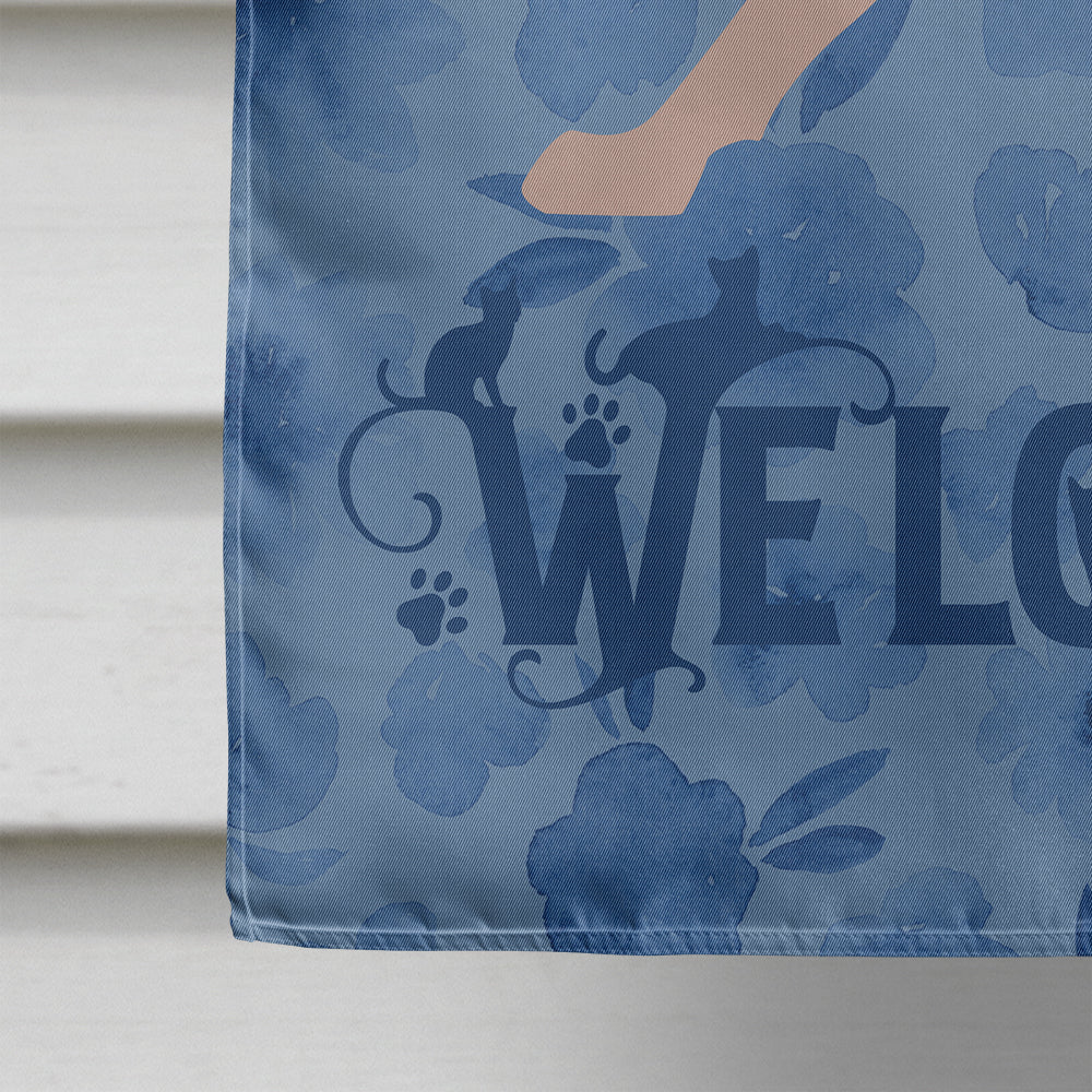 Don Sphynx #3 Cat Welcome House Flag 28x40 Porch Sleeve Pole Decorative Outside Yard Banner Artwork Wall Hanging, Polyester