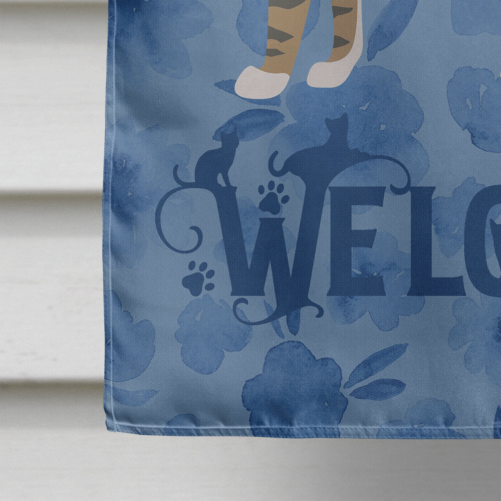 Dragon Li #2 Cat Welcome House Flag 28x40 Porch Sleeve Pole Decorative Outside Yard Banner Artwork Wall Hanging, Polyester