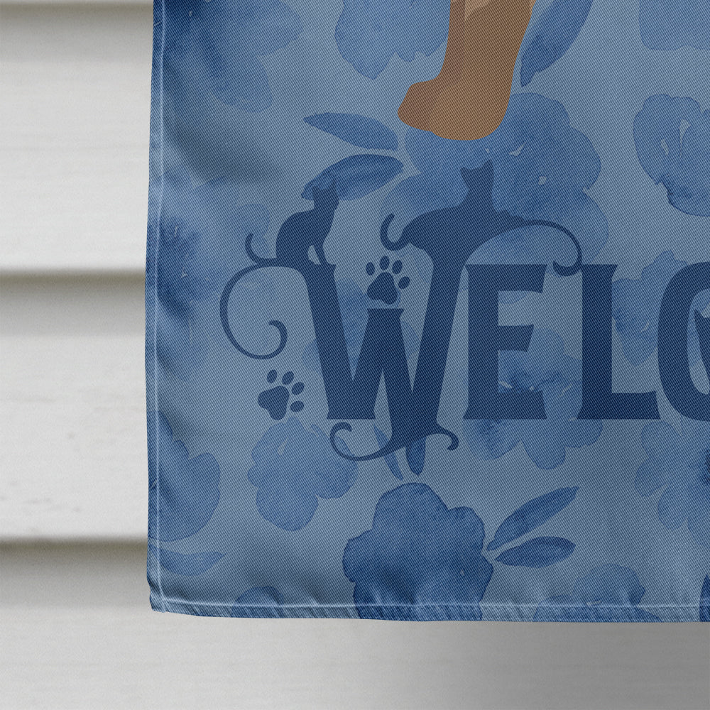 European Burmese #2 Cat Welcome House Flag 28x40 Porch Sleeve Pole Decorative Outside Yard Banner Artwork Wall Hanging, Polyester