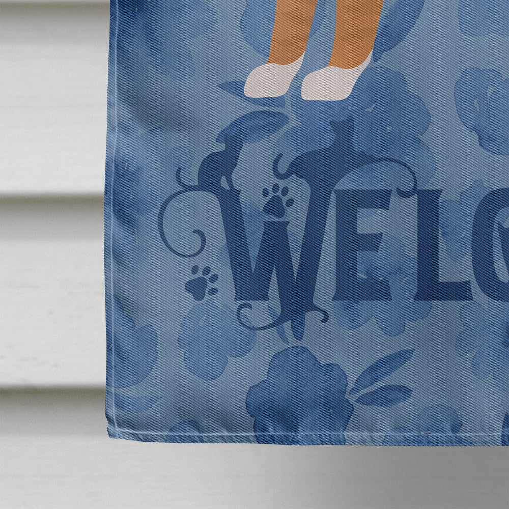 European Shorthair #1 Cat Welcome House Flag 28x40 Porch Sleeve Pole Decorative Outside Yard Banner Artwork Wall Hanging, Polyester