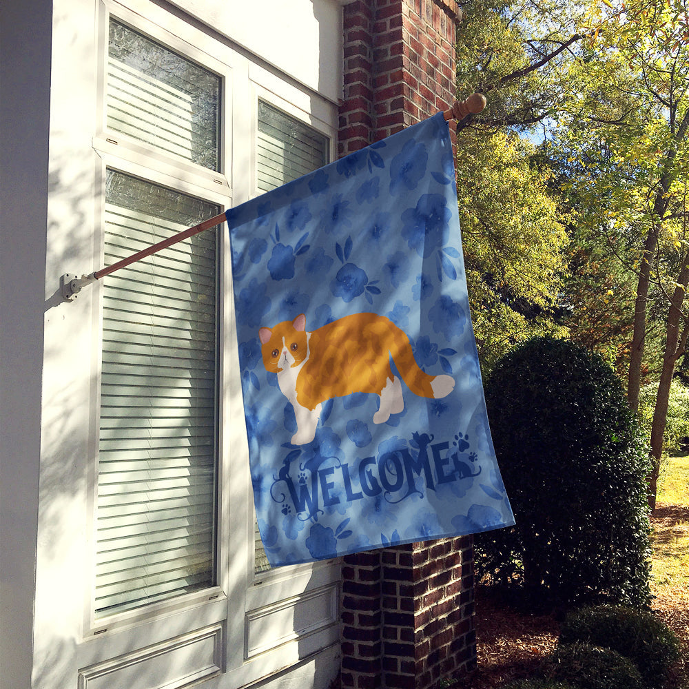 Exotic Shorthair #3 Cat Welcome House Flag 28x40 Porch Sleeve Pole Decorative Outside Yard Banner Artwork Wall Hanging, Polyester