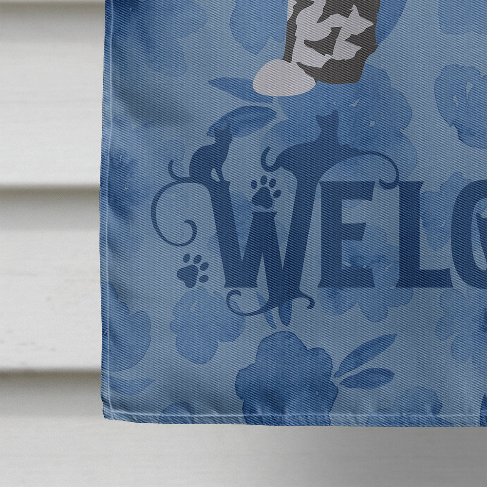 Foldex Exotic Fold #1 Cat Welcome House Flag 28x40 Porch Sleeve Pole Decorative Outside Yard Banner Artwork Wall Hanging, Polyester