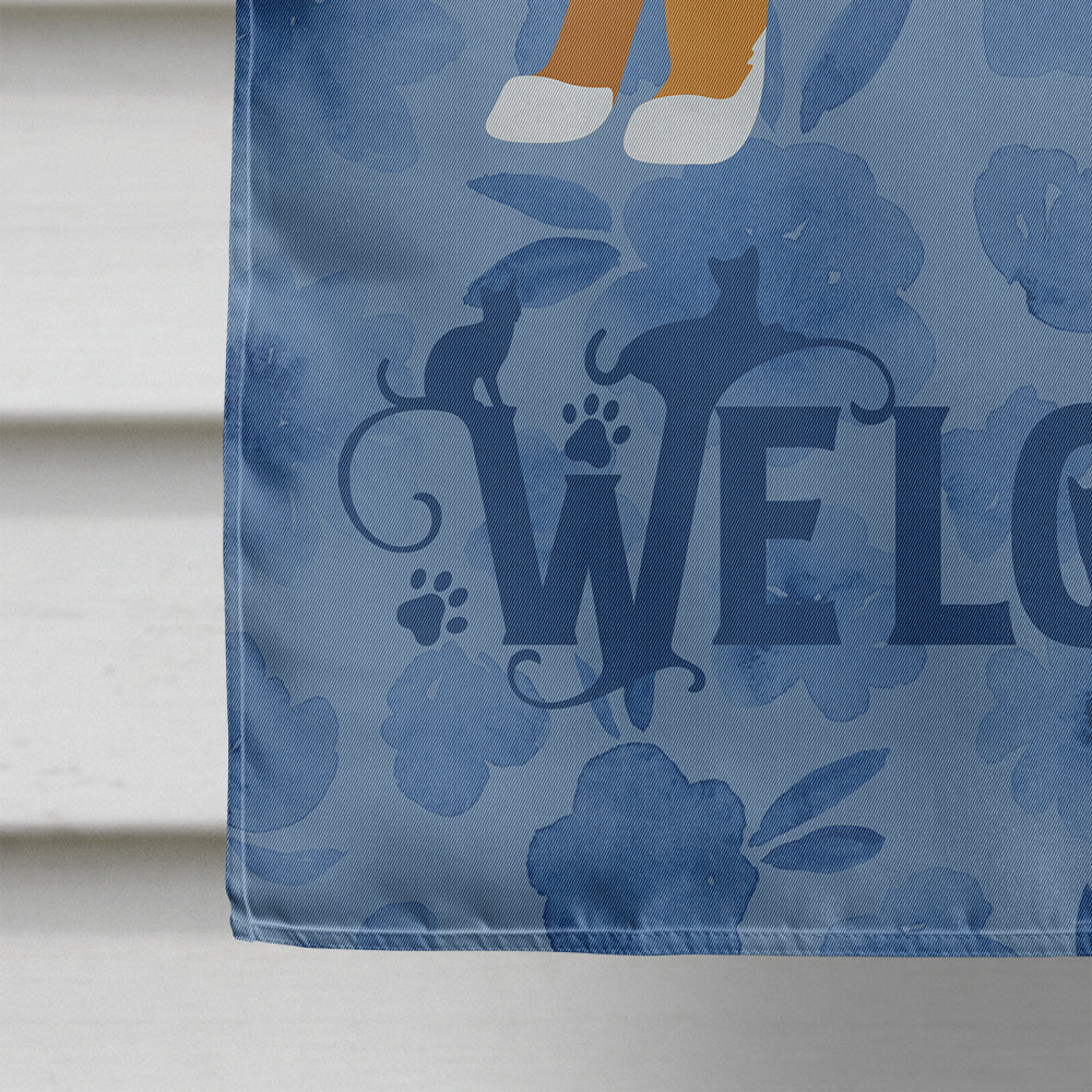 Maine Coon #1 Cat Welcome House Flag 28x40 Porch Sleeve Pole Decorative Outside Yard Banner Artwork Wall Hanging, Polyester