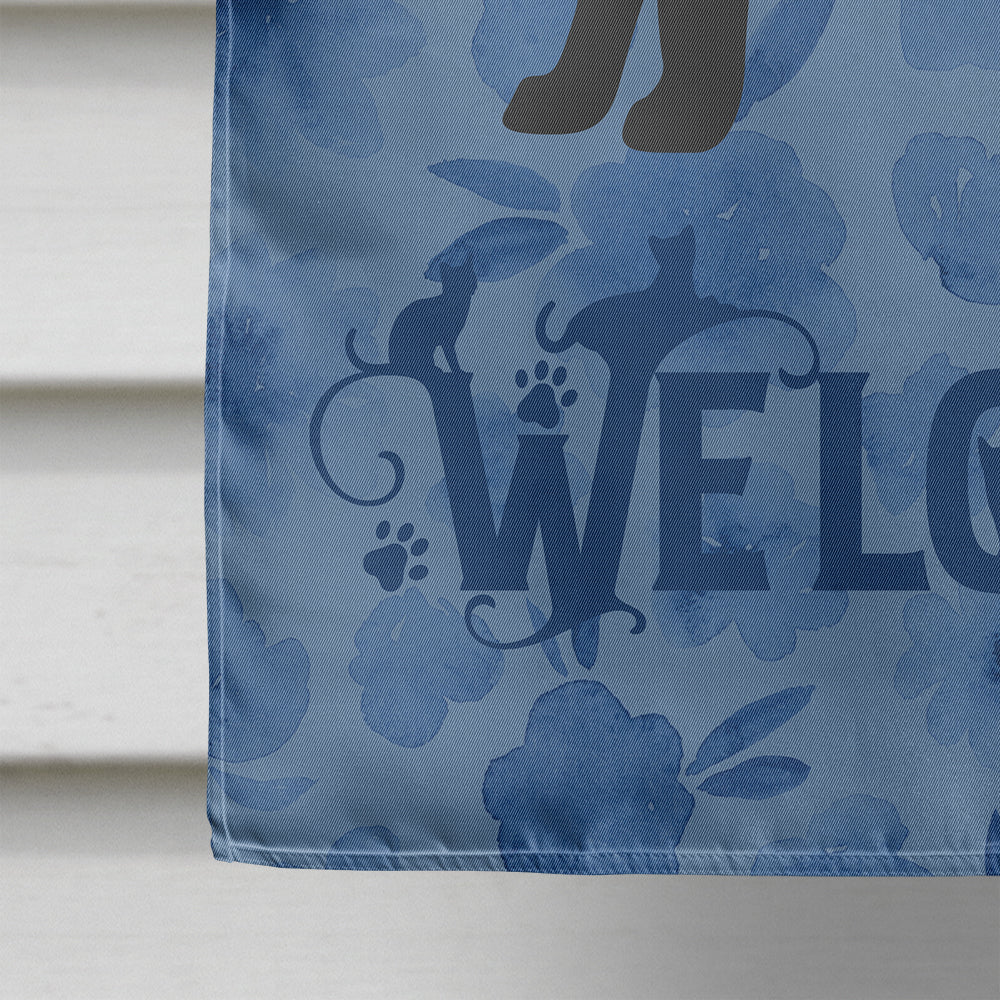 Maine Coon #2 Cat Welcome House Flag 28x40 Porch Sleeve Pole Decorative Outside Yard Banner Artwork Wall Hanging, Polyester