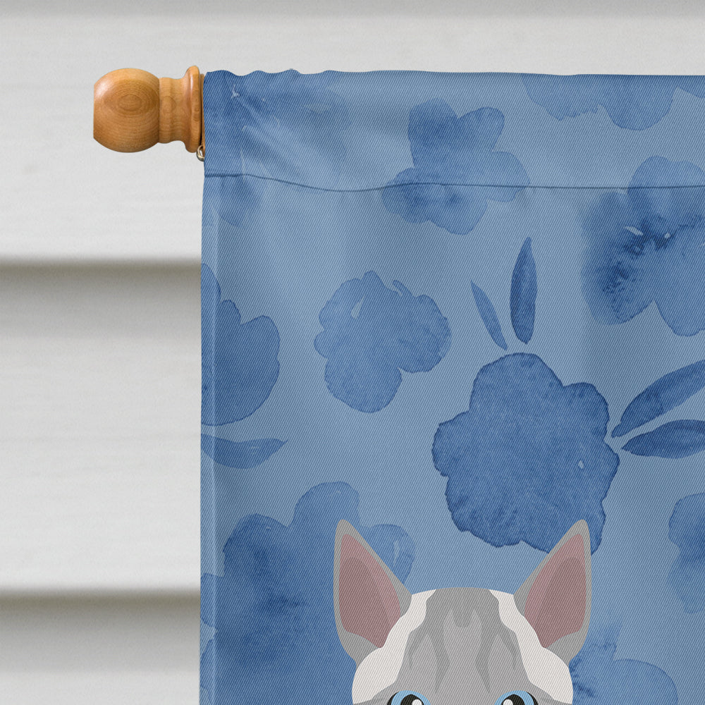 Ojos Azules Cat Welcome House Flag 28x40 Porch Sleeve Pole Decorative Outside Yard Banner Artwork Wall Hanging, Polyester