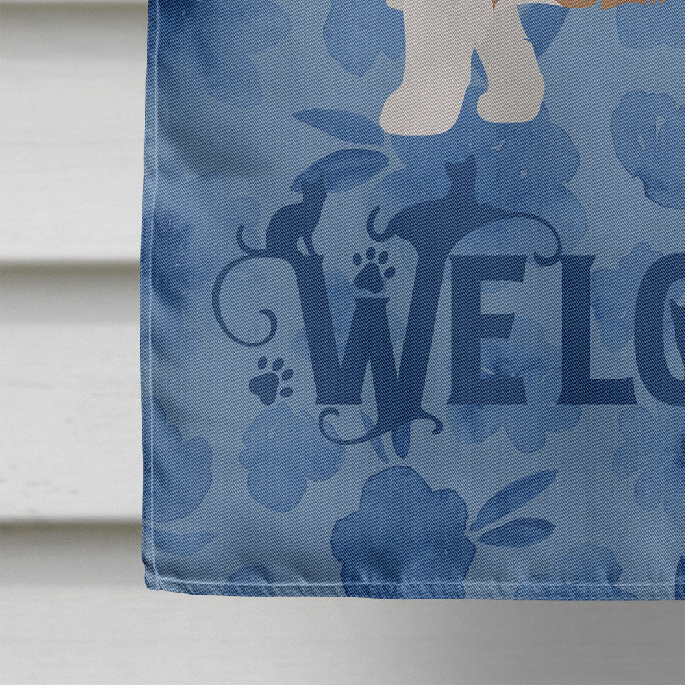 Ragamuffin #2 Cat Welcome House Flag 28x40 Porch Sleeve Pole Decorative Outside Yard Banner Artwork Wall Hanging, Polyester