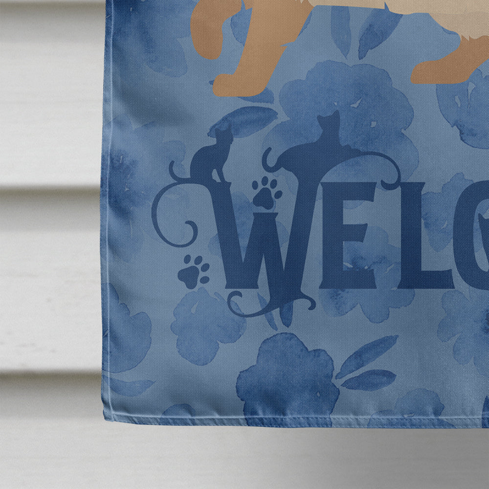 Ragdoll #2 Cat Welcome House Flag 28x40 Porch Sleeve Pole Decorative Outside Yard Banner Artwork Wall Hanging, Polyester