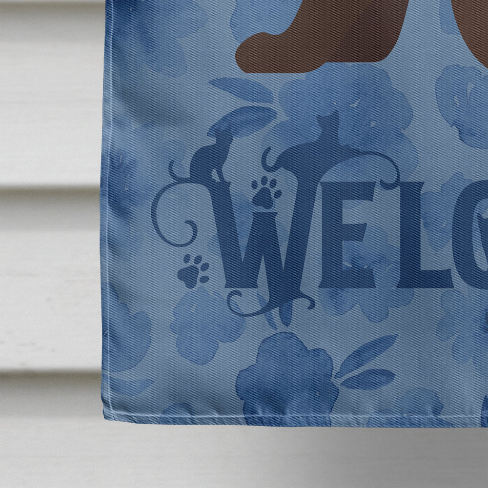 Burmese #2 Cat Welcome House Flag 28x40 Porch Sleeve Pole Decorative Outside Yard Banner Artwork Wall Hanging, Polyester