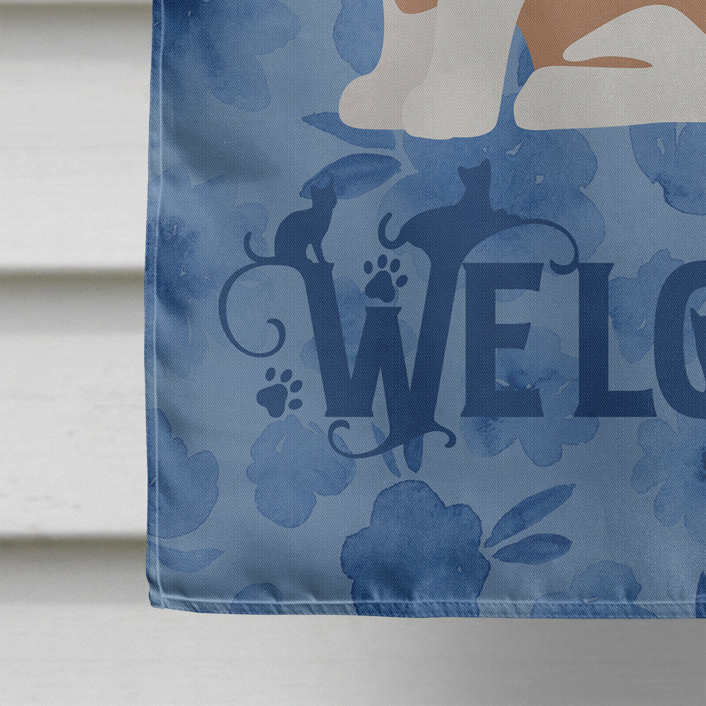 Snowshoe #2 Cat Welcome House Flag 28x40 Porch Sleeve Pole Decorative Outside Yard Banner Artwork Wall Hanging, Polyester