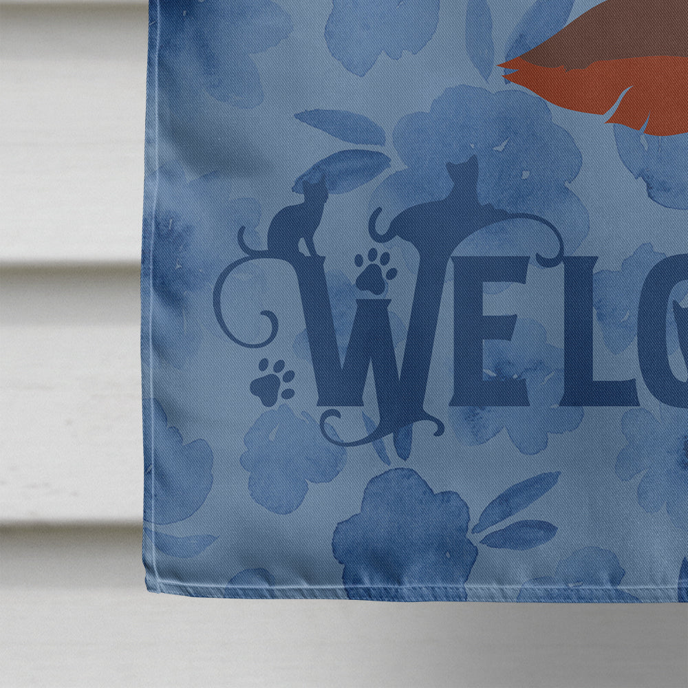 Somali Cat Welcome House Flag 28x40 Porch Sleeve Pole Decorative Outside Yard Banner Artwork Wall Hanging, Polyester