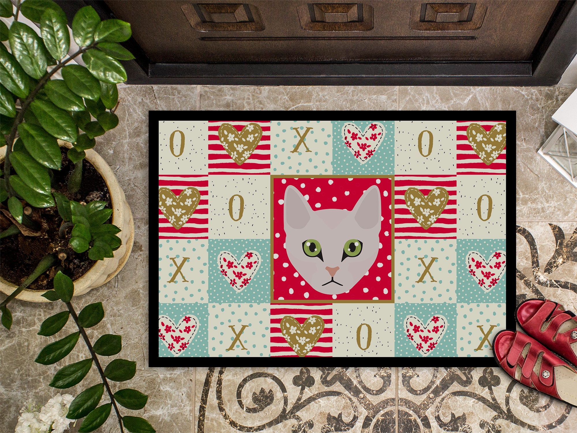 Burmilla Cat Love Doormat Indoor Outdoor 24H X 36W Front Door Mat Rugs for Entryway, Non Slip Washable Low Pile,
