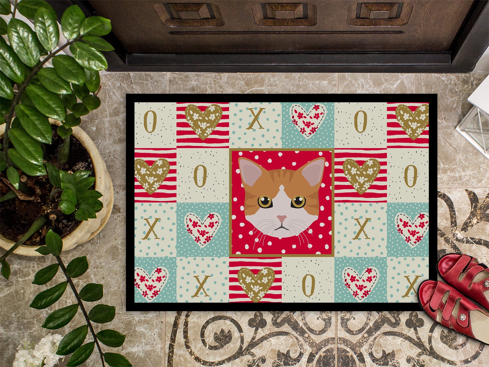 European Shorthair Cat Love Doormat Indoor Outdoor 24H X 36W Front Door Mat Rugs for Entryway, Non Slip Washable Low Pile,
