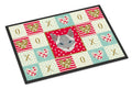 Ojos Azules Cat Love Doormat Indoor Outdoor 24H X 36W Front Door Mat Rugs for Entryway, Non Slip Washable Low Pile,