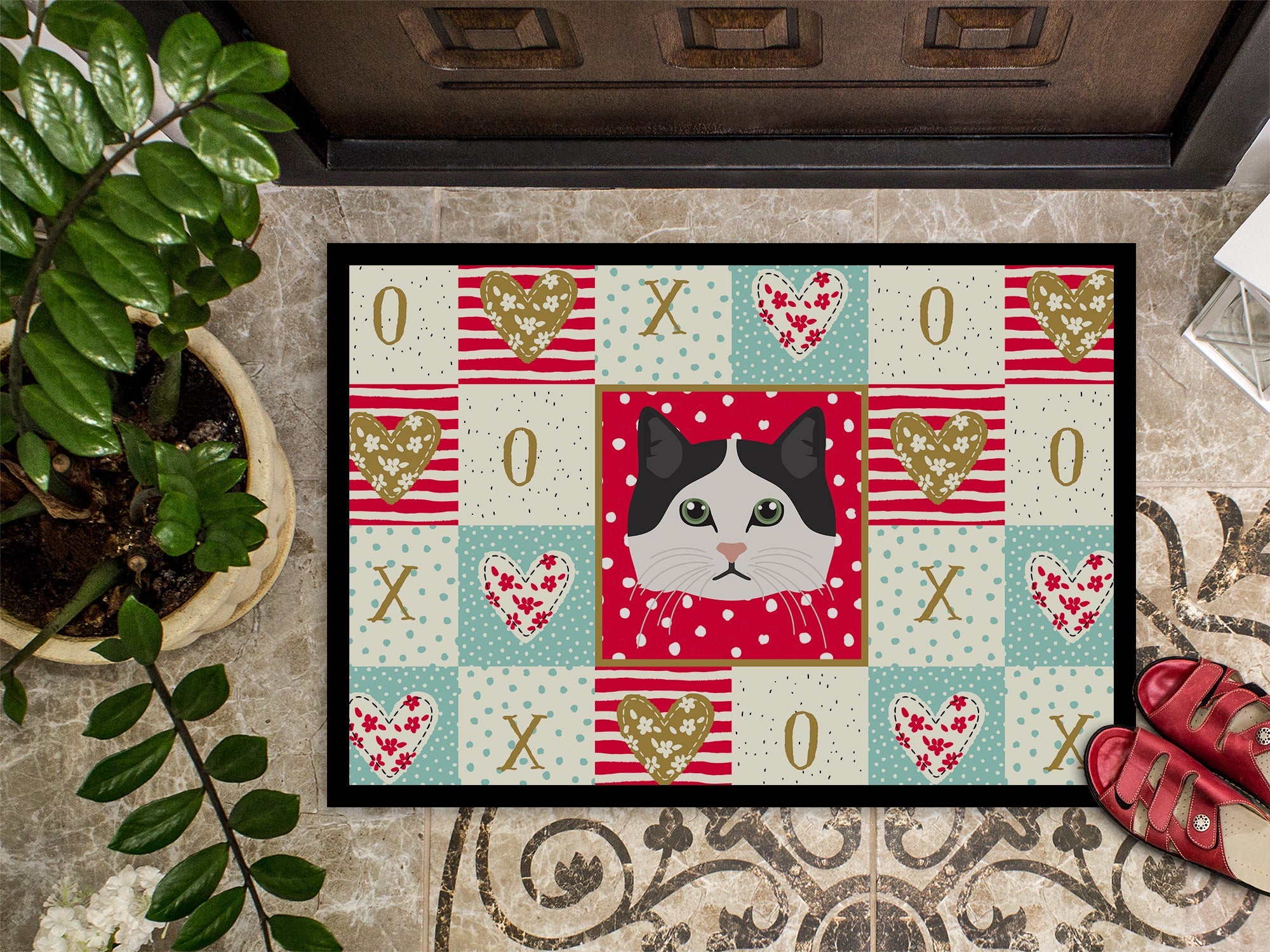 Ragamuffin Cat Love Doormat Indoor Outdoor 24H X 36W Front Door Mat Rugs for Entryway, Non Slip Washable Low Pile,