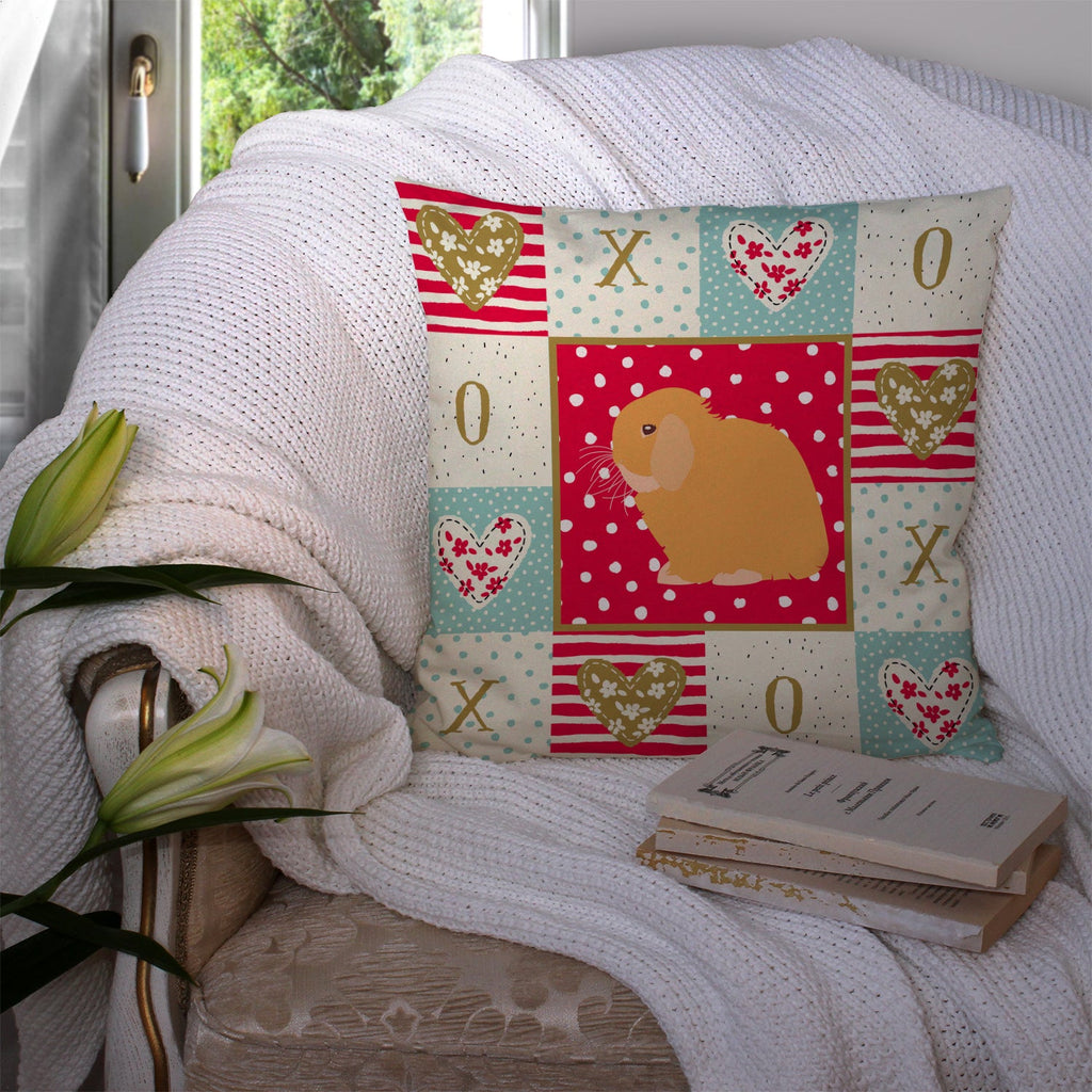 Holland Lop Rabbit Love Decorative Throw Pillow 14x14 Indoor Outdoor Accent Cushion, Fabric Cover with Insert for Sofa, Bed, Porch & Living Room