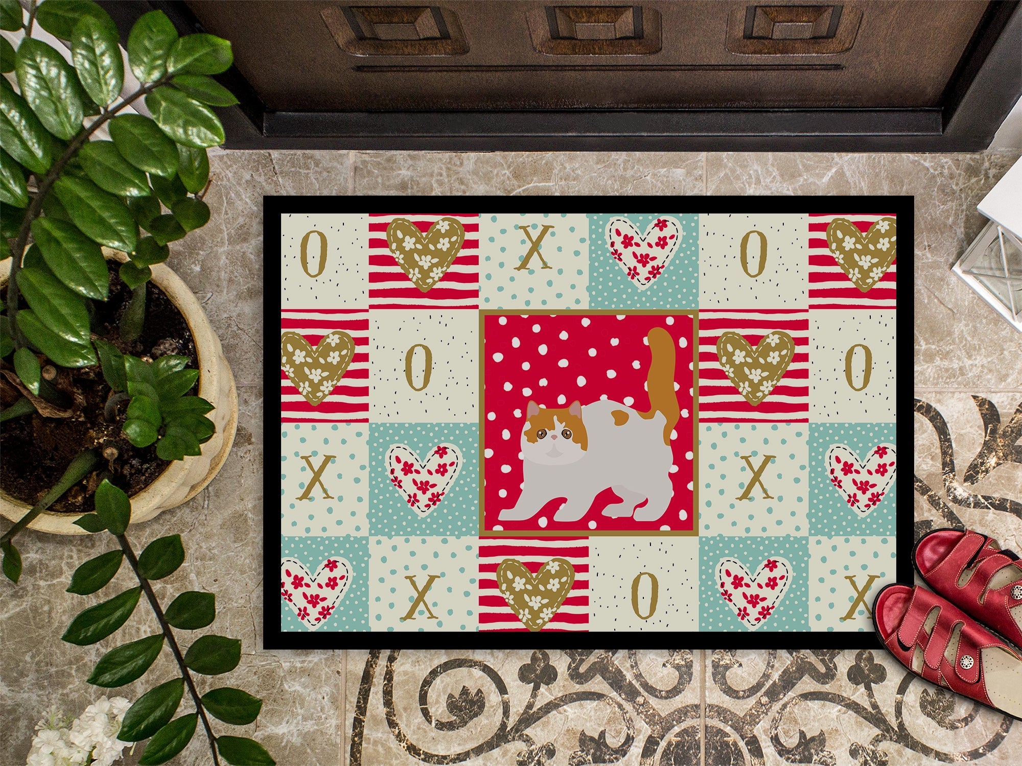 Exotic Shorthair #4 Cat Love Doormat Indoor Outdoor 24H X 36W Front Door Mat Rugs for Entryway, Non Slip Washable Low Pile,