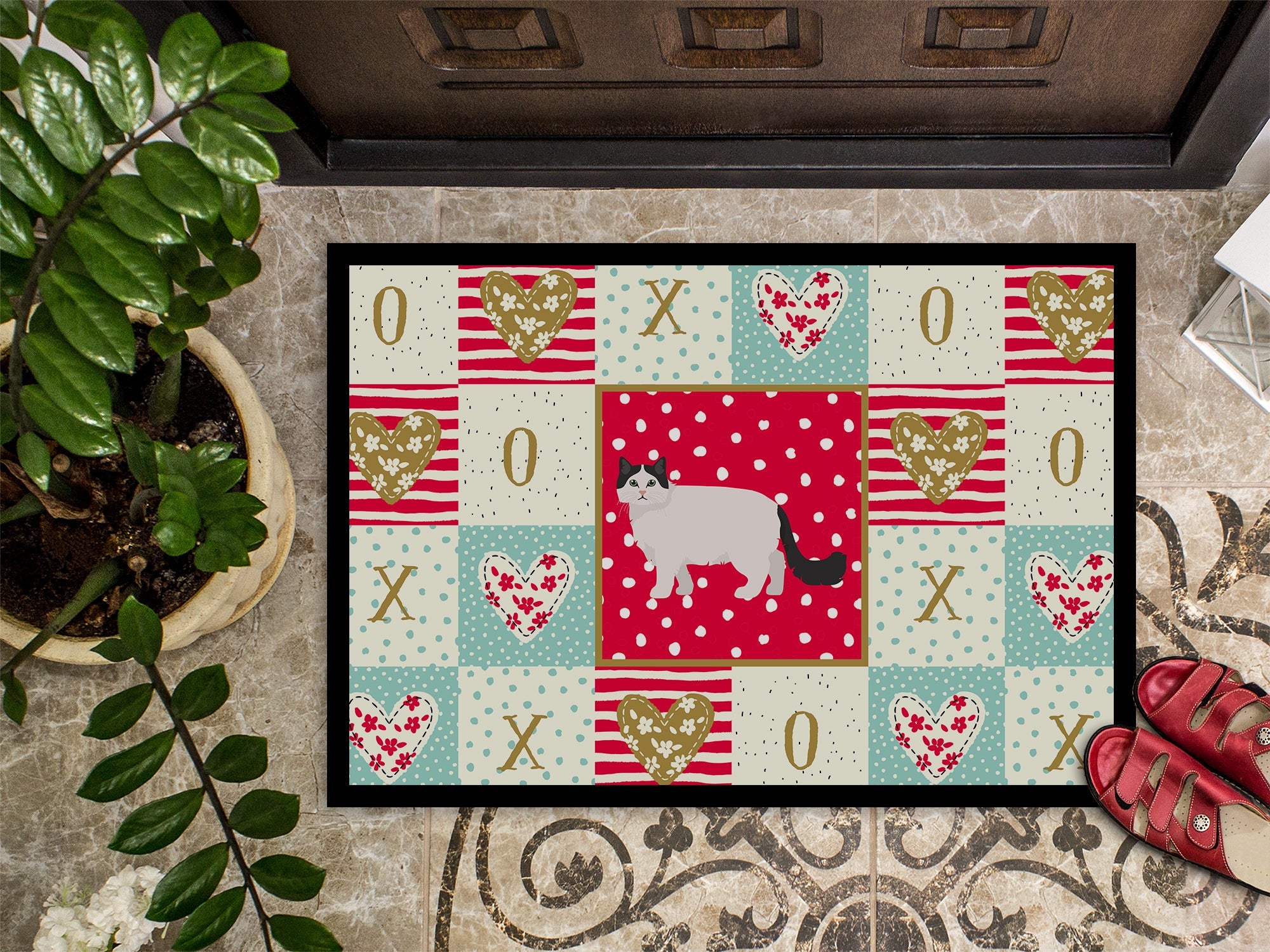 Ragamuffin #1 Cat Love Doormat Indoor Outdoor 18H X 27W Front Door Mat Rugs for Entryway, Non Slip Washable