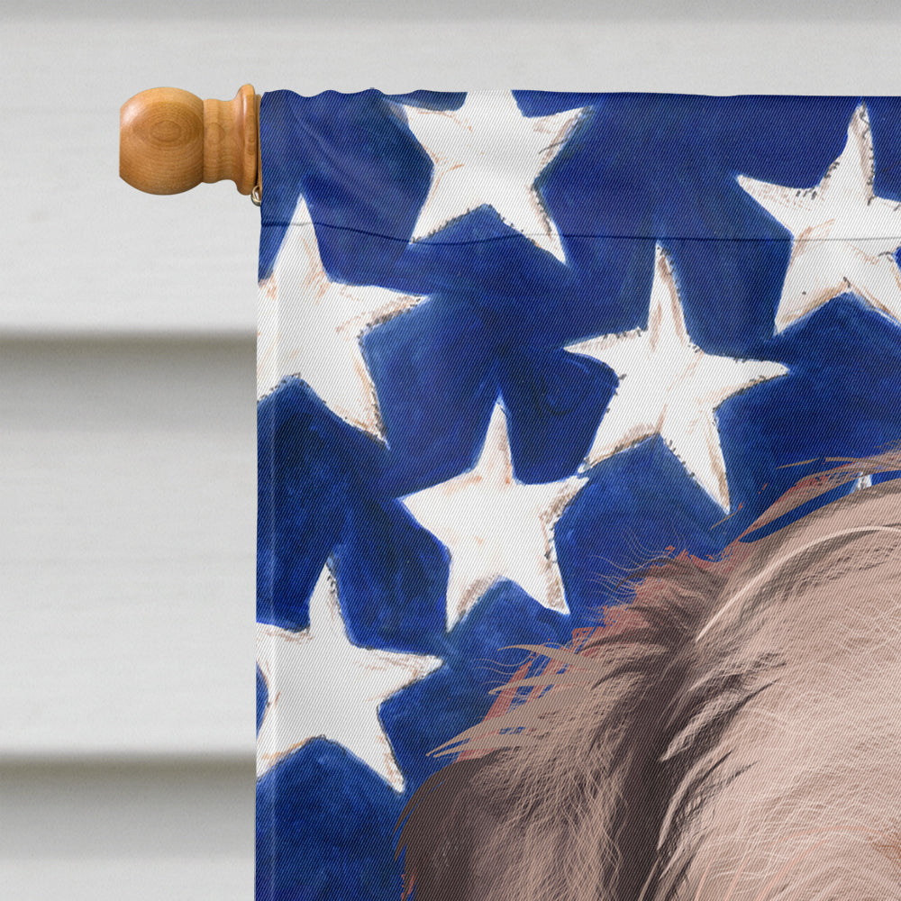 Border Terrier Dog American Flag House Flag 28x40 Porch Sleeve Pole Decorative Outside Yard Banner Artwork Wall Hanging, Polyester