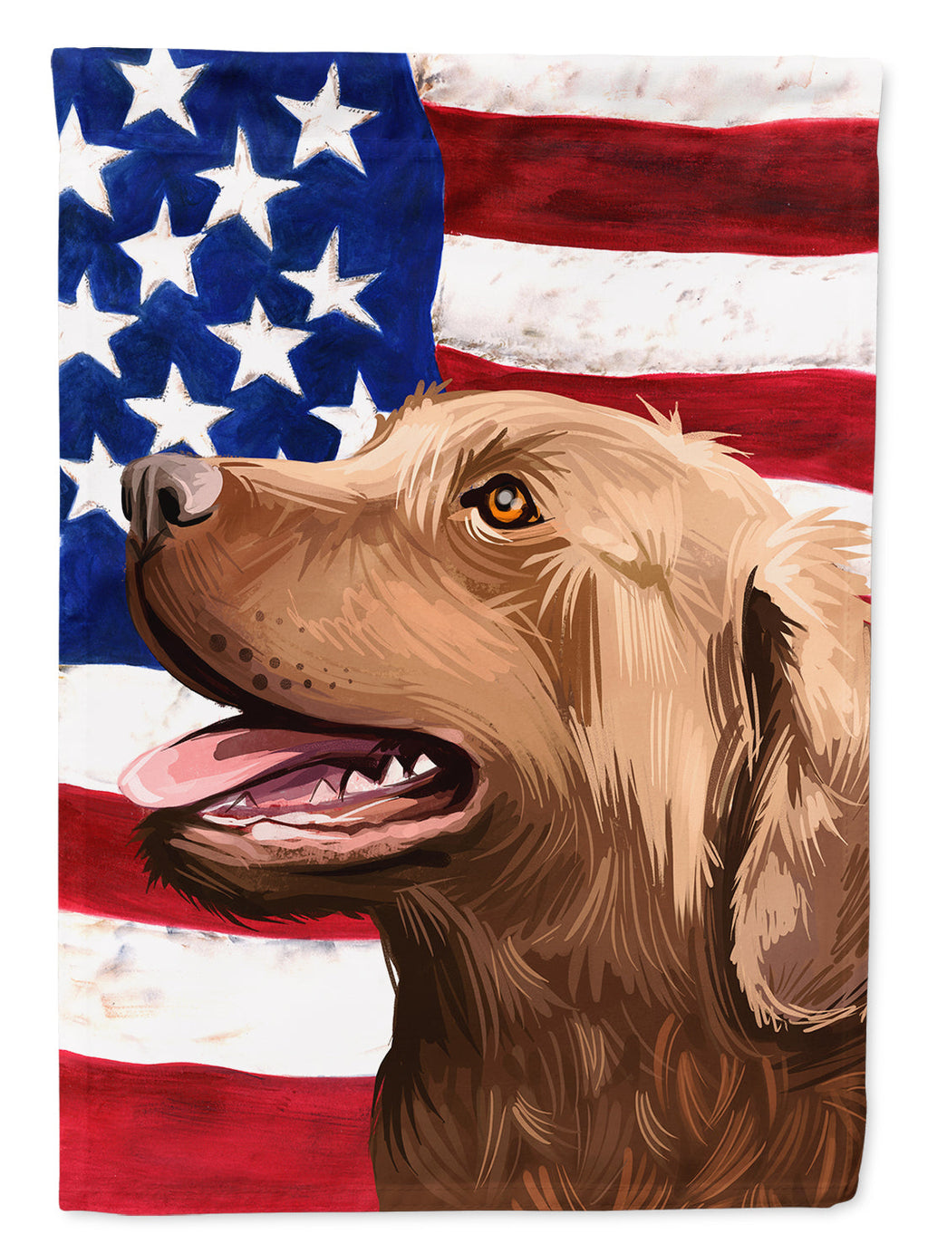 Chesapeake Bay Retriever American Flag House Flag 28x40 Porch Sleeve Pole Decorative Outside Yard Banner Artwork Wall Hanging, Polyester