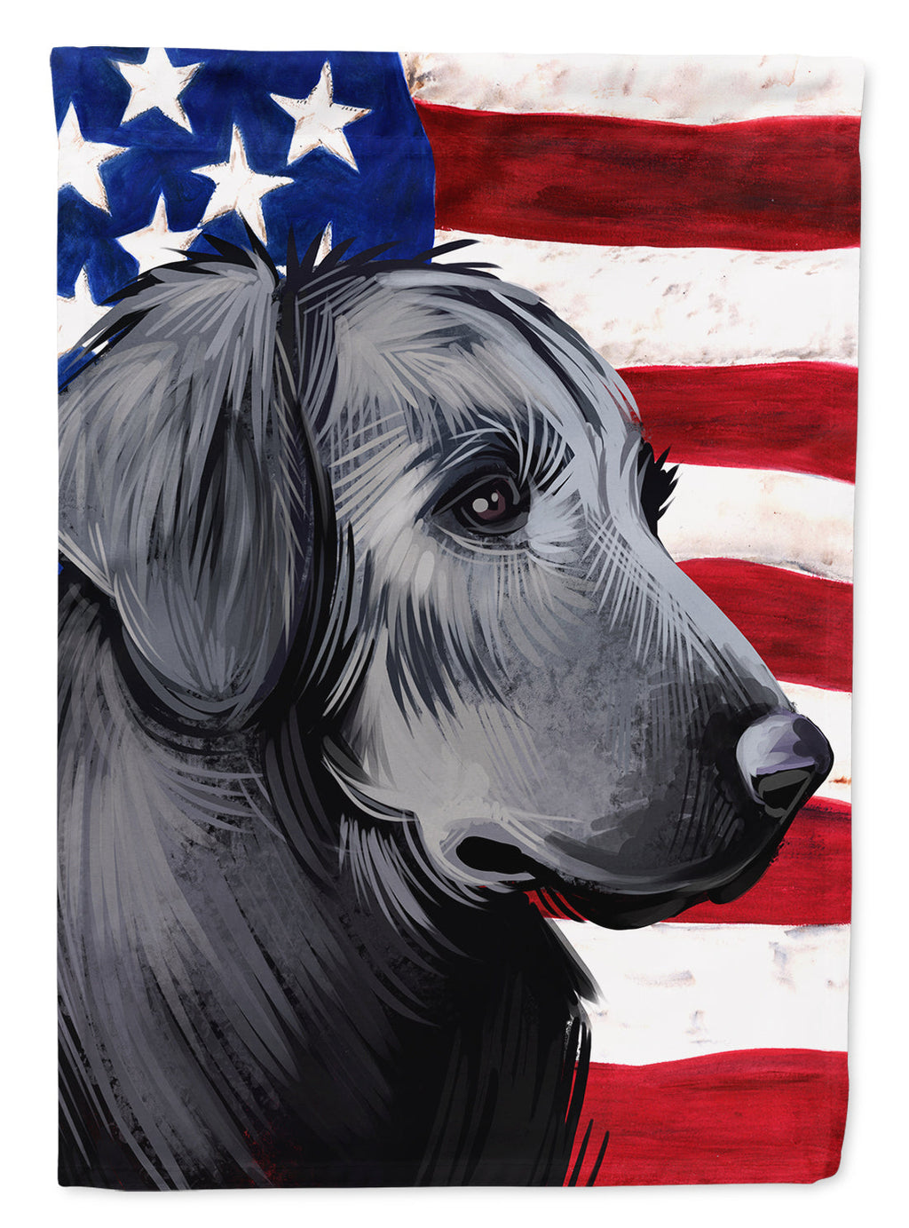 Flat-Coated Retriever American Flag House Flag 28x40 Porch Sleeve Pole Decorative Outside Yard Banner Artwork Wall Hanging, Polyester