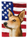 Indian pariah dog American Flag House Flag 28x40 Porch Sleeve Pole Decorative Outside Yard Banner Artwork Wall Hanging, Polyester
