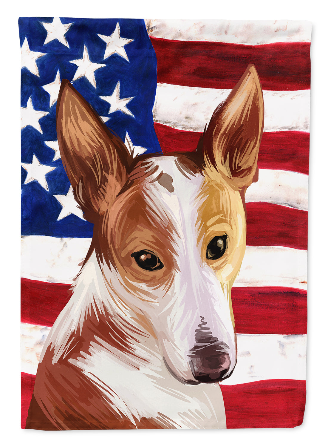 Majorca Ratter American Flag House Flag 28x40 Porch Sleeve Pole Decorative Outside Yard Banner Artwork Wall Hanging, Polyester