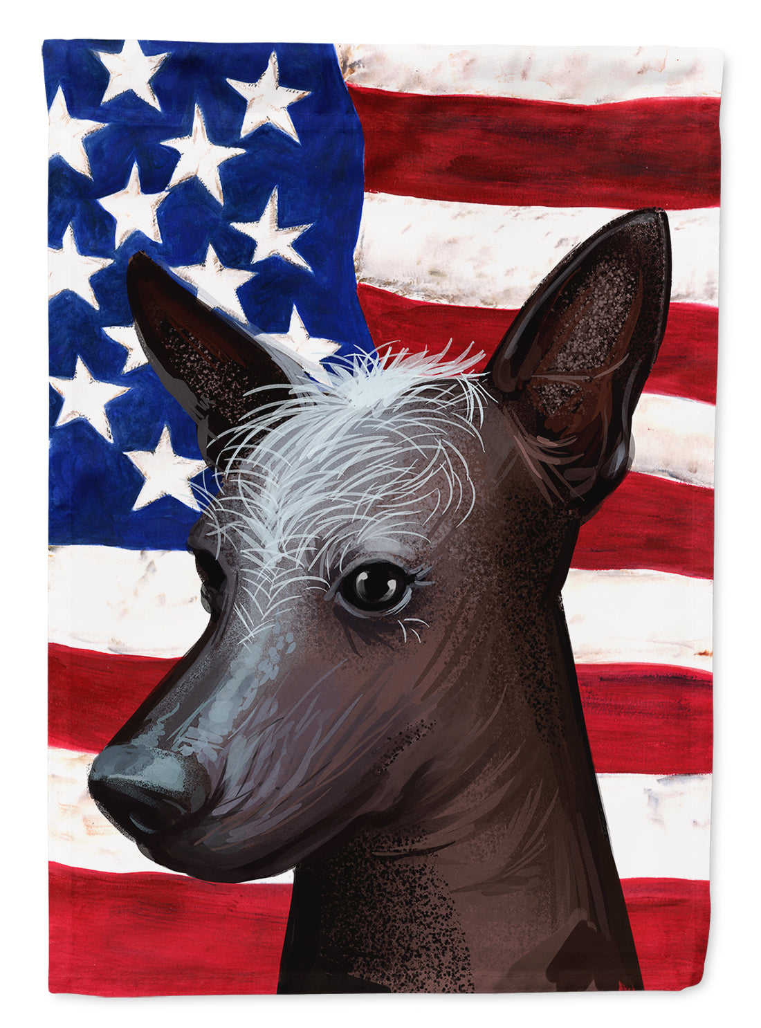 Mexican Hairless Dog American Flag House Flag 28x40 Porch Sleeve Pole Decorative Outside Yard Banner Artwork Wall Hanging, Polyester