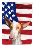 Podenco Canario Dog American Flag House Flag 28x40 Porch Sleeve Pole Decorative Outside Yard Banner Artwork Wall Hanging, Polyester