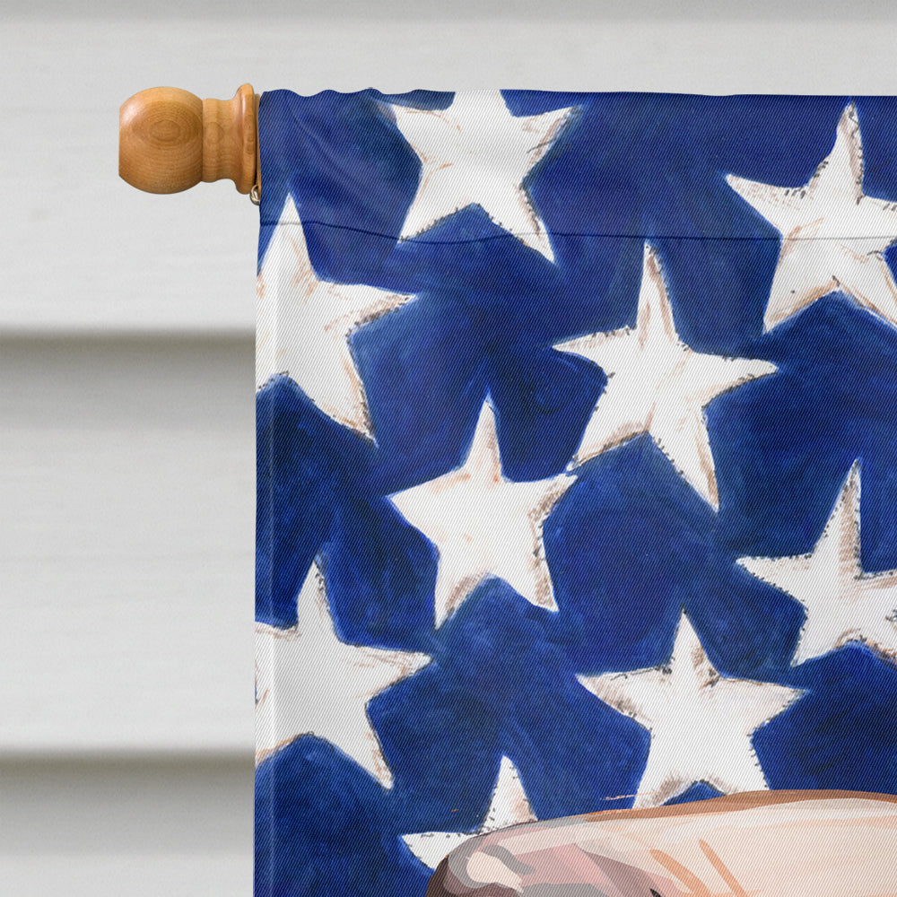 Sabueso Espanol Dog American Flag House Flag 28x40 Porch Sleeve Pole Decorative Outside Yard Banner Artwork Wall Hanging, Polyester