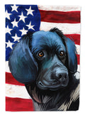 Stabyhoun Dog American Flag House Flag 28x40 Porch Sleeve Pole Decorative Outside Yard Banner Artwork Wall Hanging, Polyester