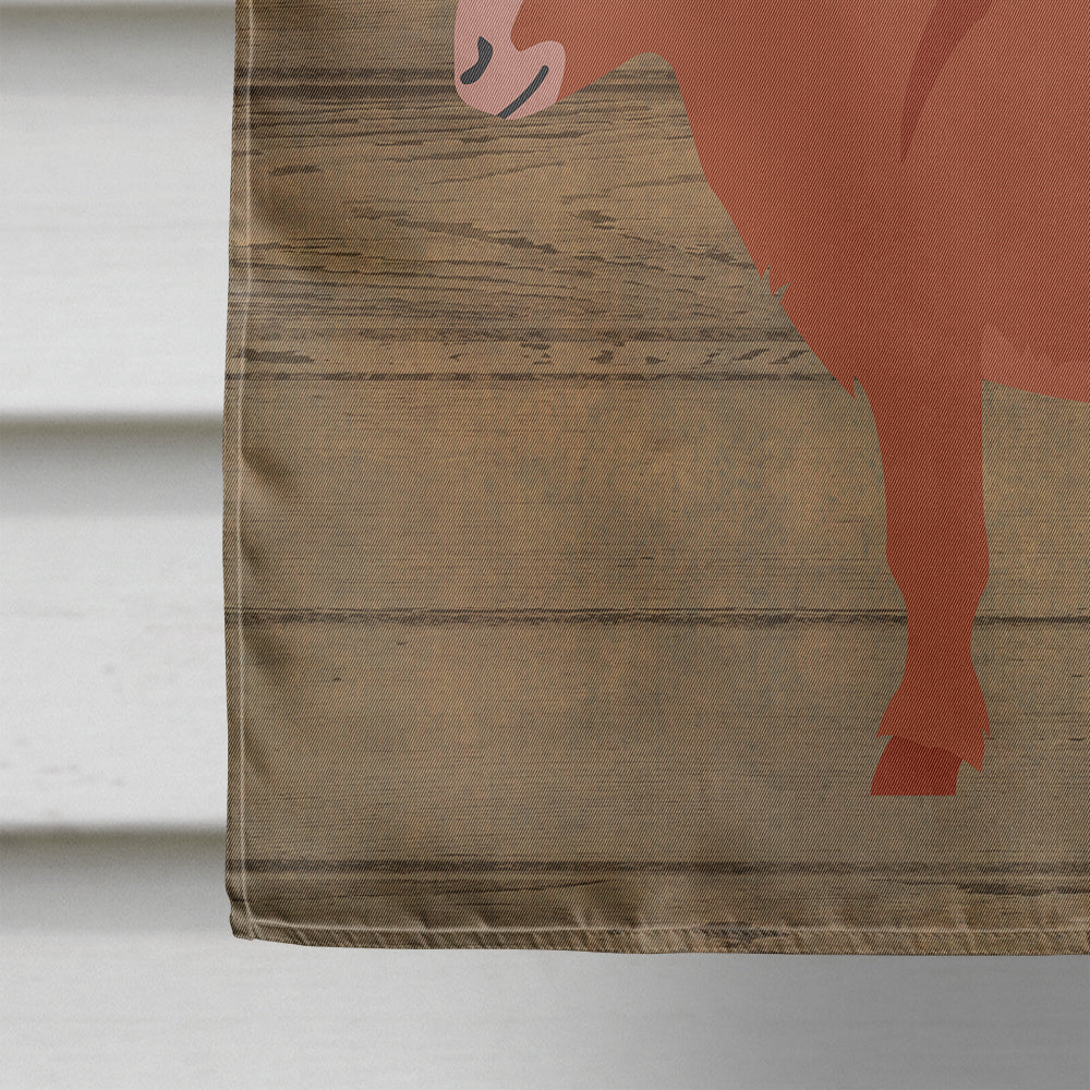 Irish Donkey Welcome House Flag 28x40 Porch Sleeve Pole Decorative Outside Yard Banner Artwork Wall Hanging, Polyester
