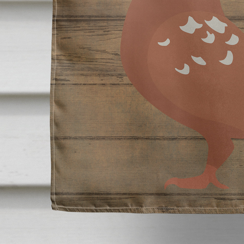 African Owl Pigeon Welcome House Flag 28x40 Porch Sleeve Pole Decorative Outside Yard Banner Artwork Wall Hanging, Polyester