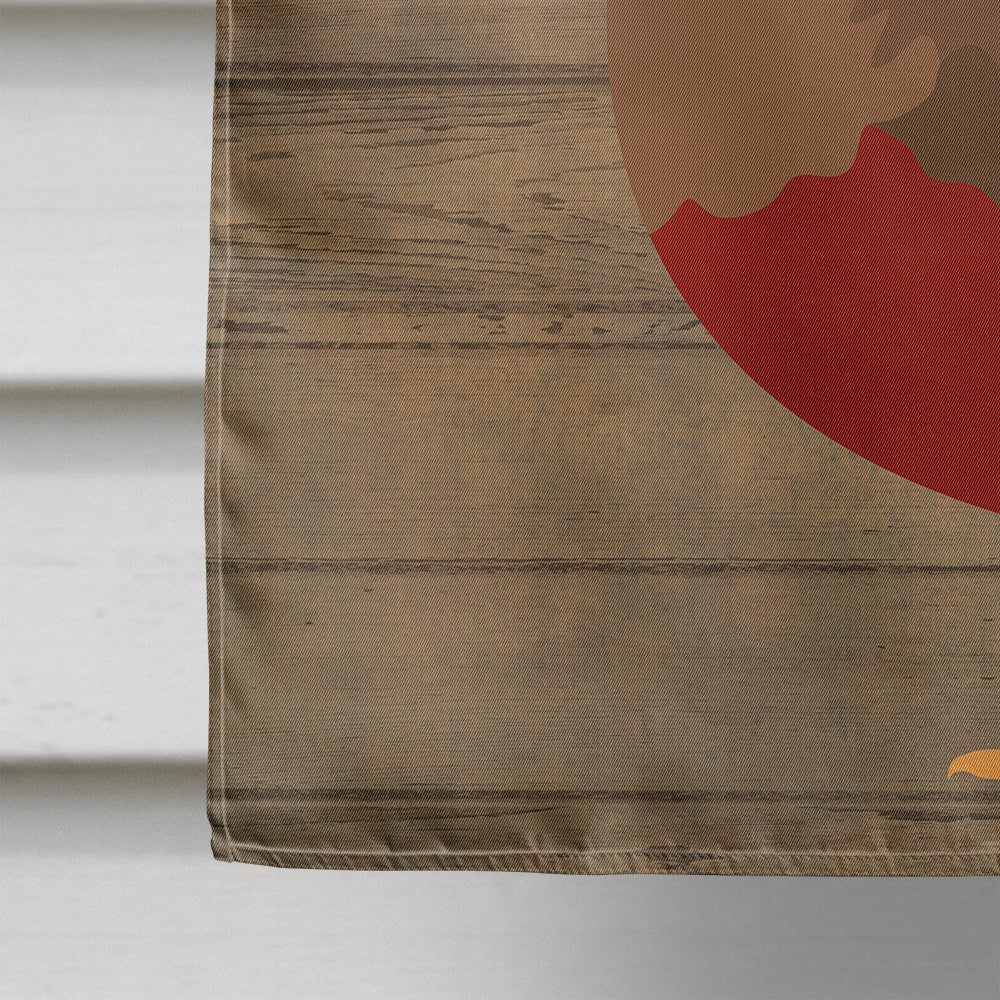 Chinese Painted or King Quail Welcome House Flag 28x40 Porch Sleeve Pole Decorative Outside Yard Banner Artwork Wall Hanging, Polyester