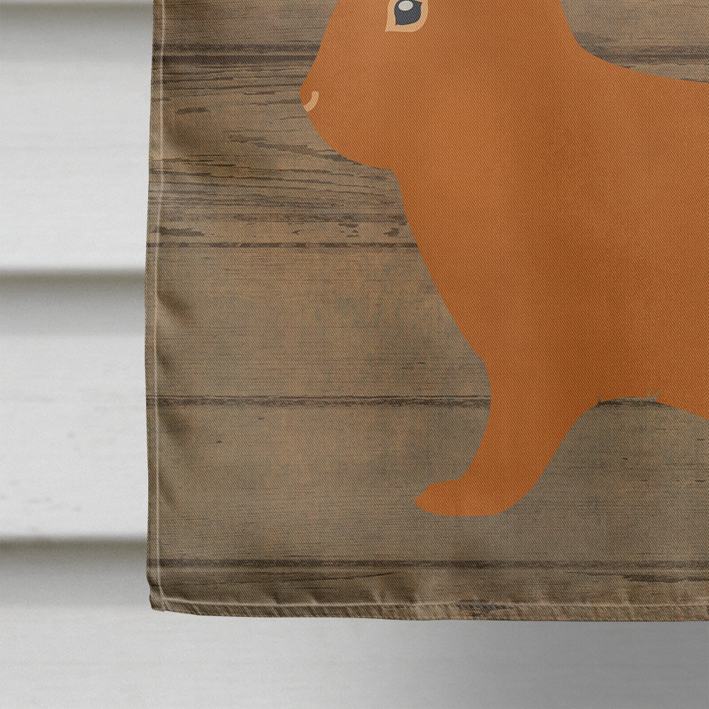 Rex Rabbit Welcome House Flag 28x40 Porch Sleeve Pole Decorative Outside Yard Banner Artwork Wall Hanging, Polyester