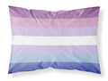 Bigender Pride Standard Pillowcase Lightweight Super Soft Easy Care Decorative Artwork Pillowcase, Standard